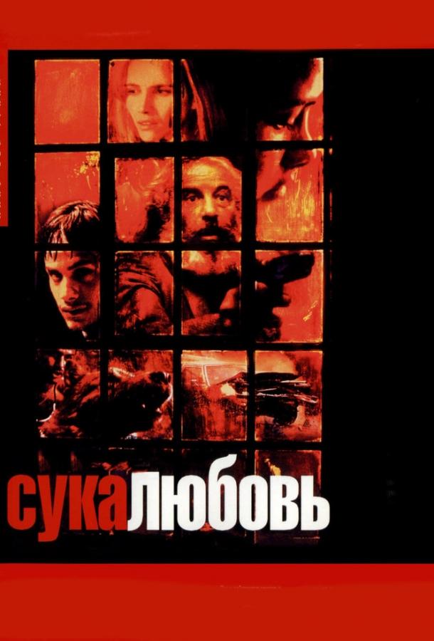 Сука-любовь 2000 Смотреть Онлайн Бесплатно в Хорошем Качестве